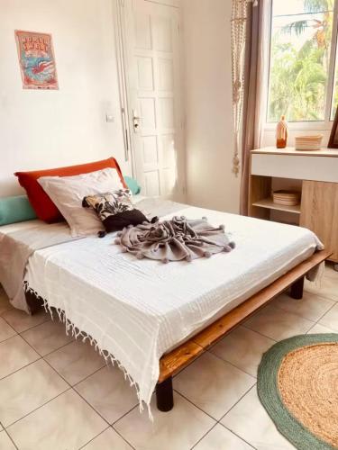 Ti Swell Caribbean Hostel photo 4