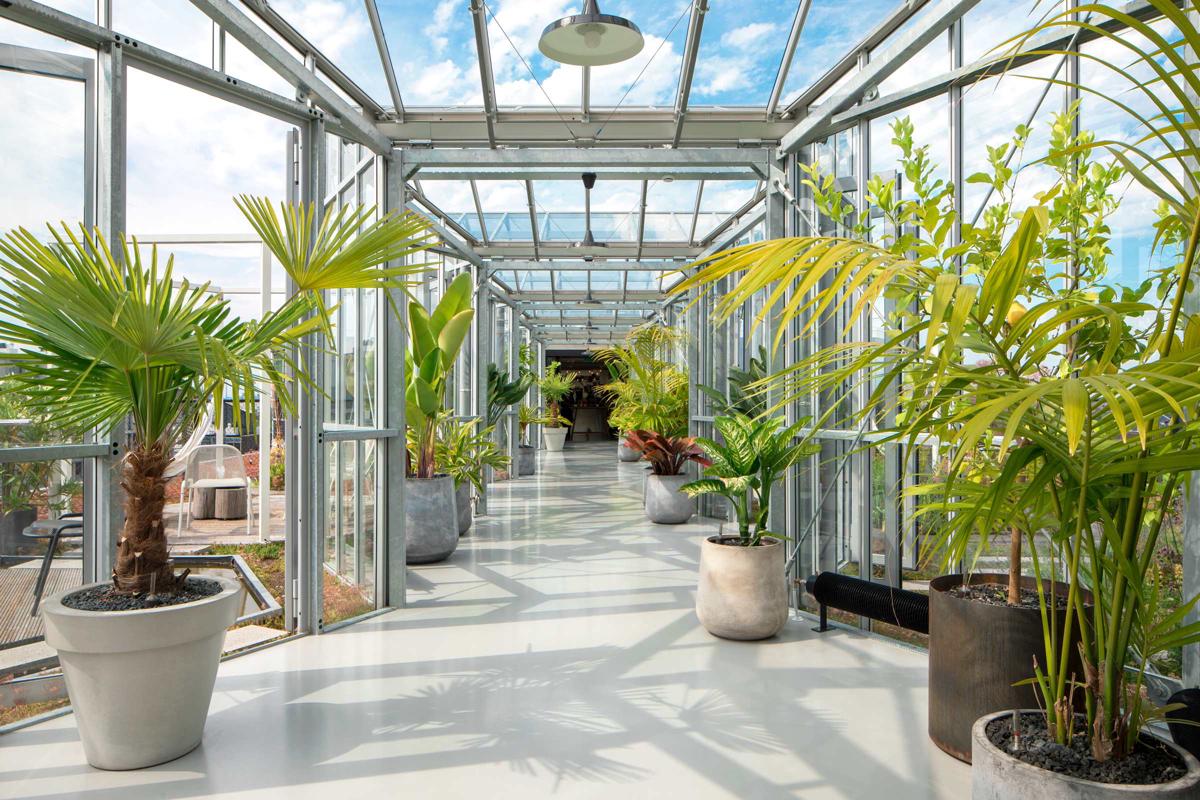 Zoku Amsterdam photo 1