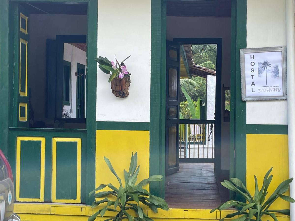 Bosque de Niebla Hostal photo 3
