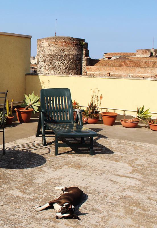 At Sveva Bed and Breakfast photo 4