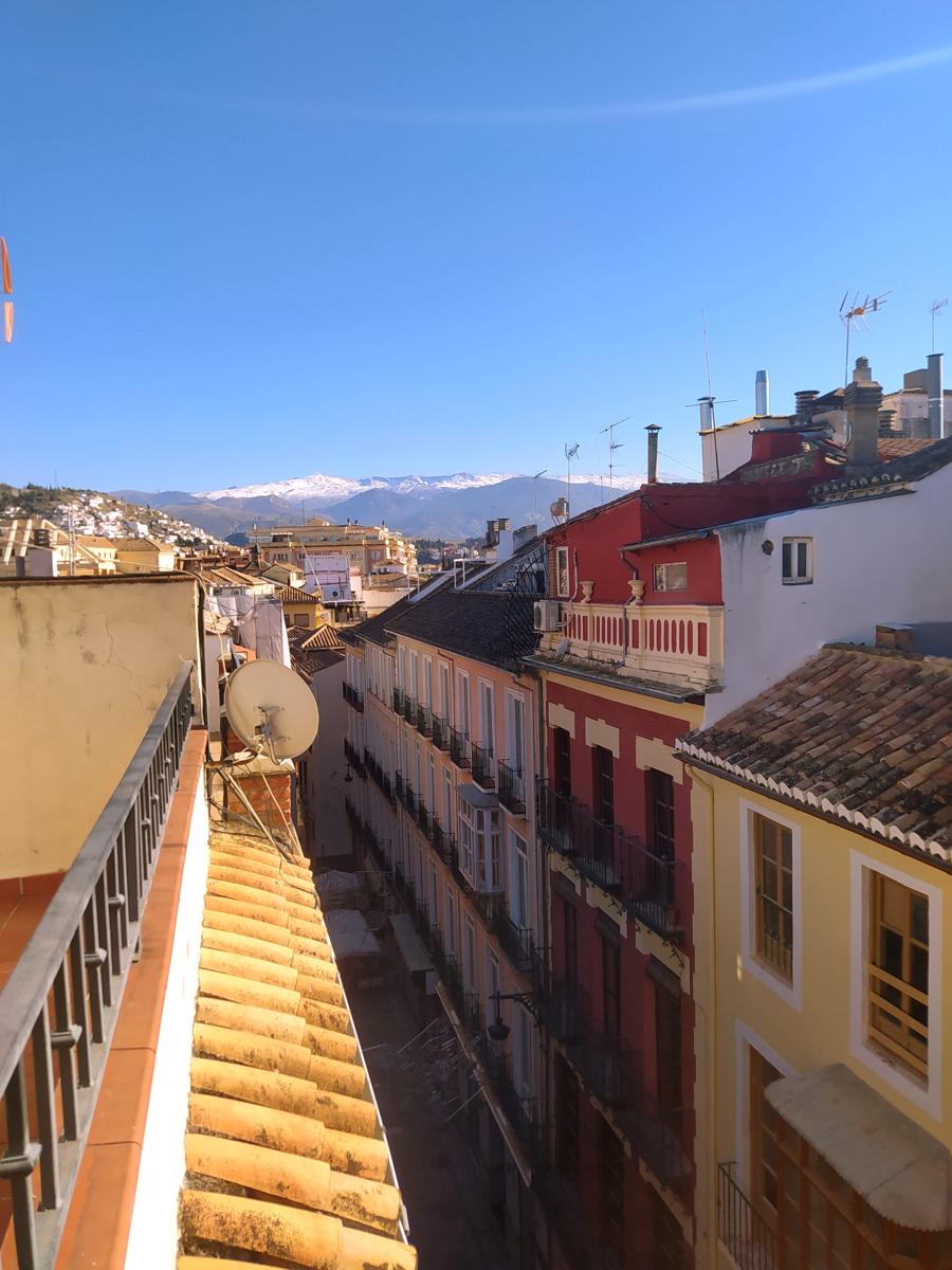 Hostal El Olivo photo 3