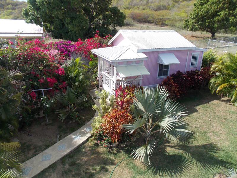 Pinkshack Studio Cottage photo 5