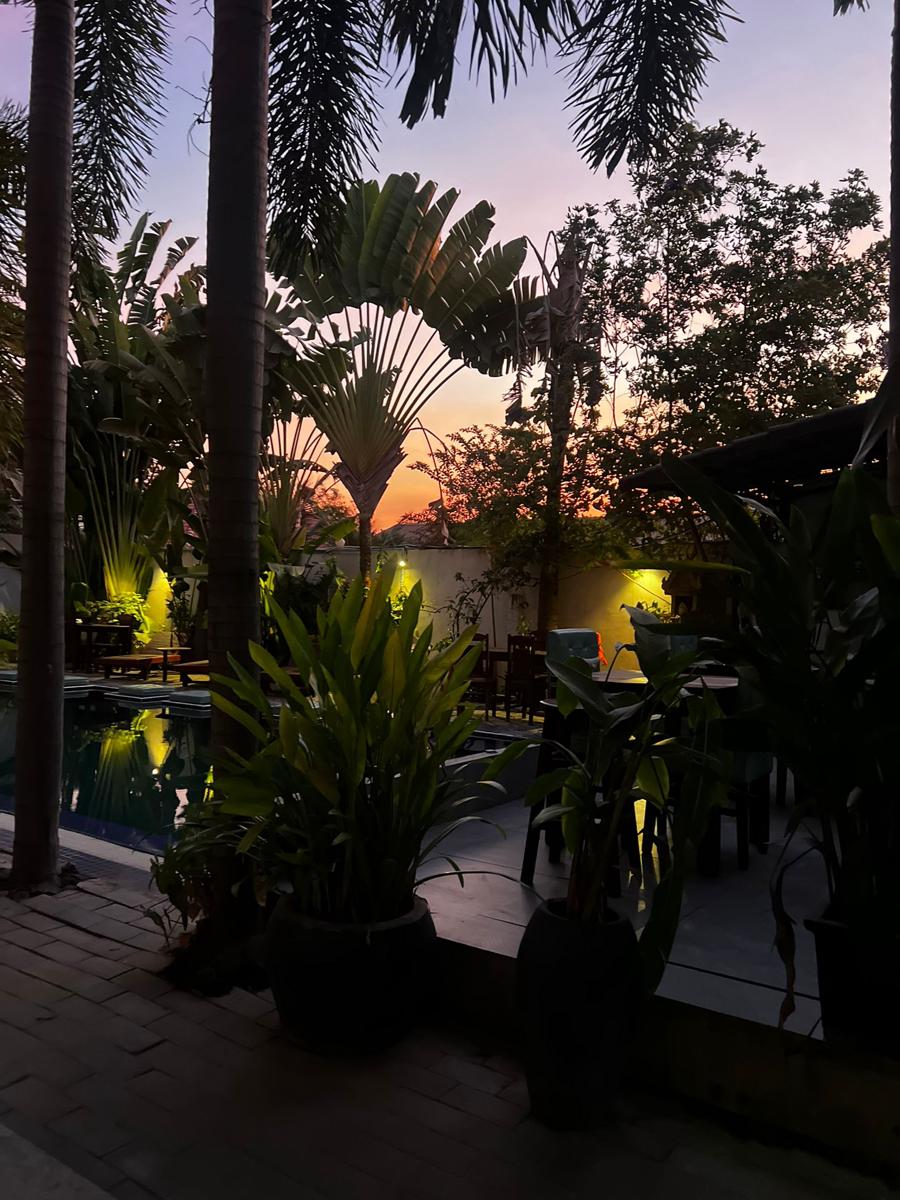 Angkor Sweet Night photo 3