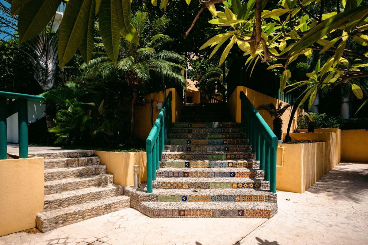 Bungalows Oasis photo 4