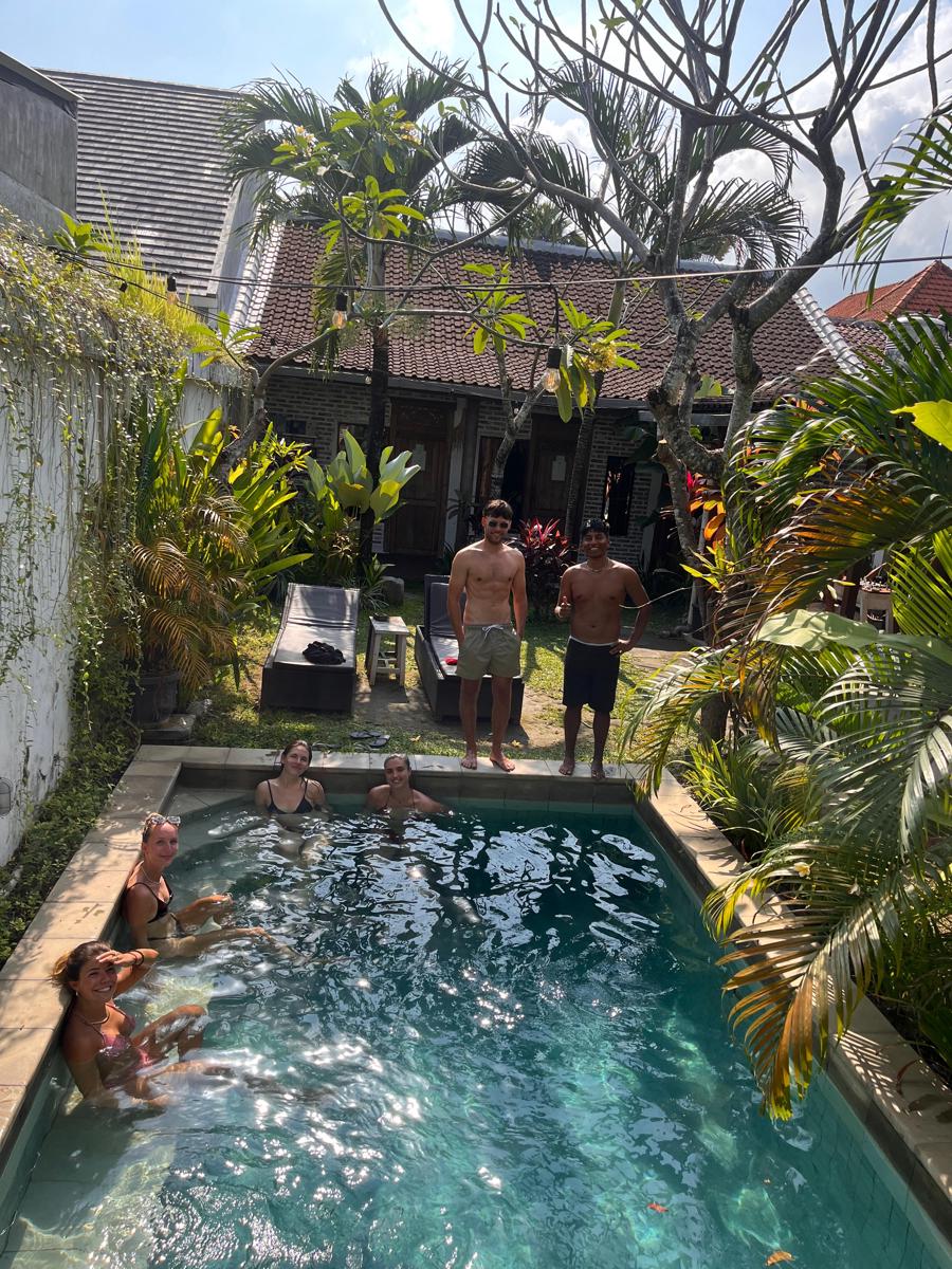 The Jungle House photo 1