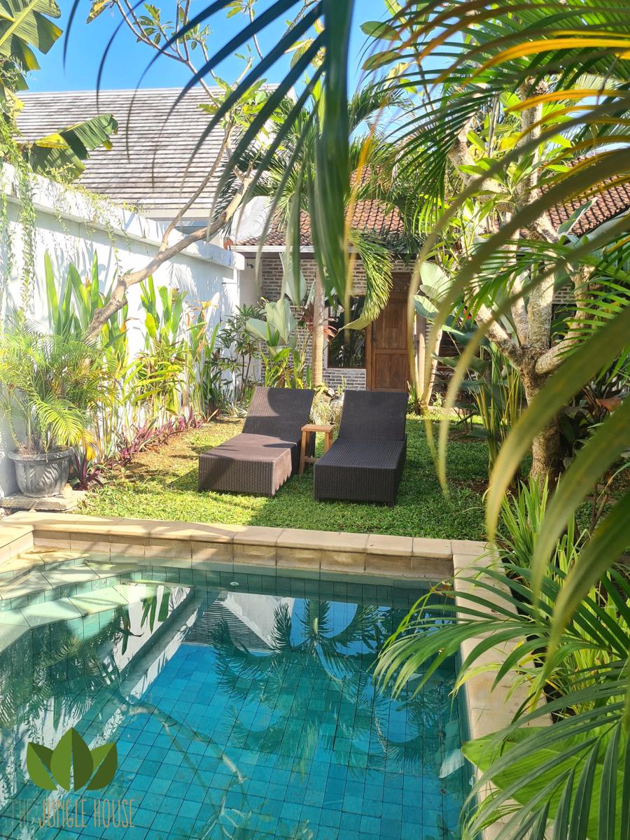 The Jungle House photo 2