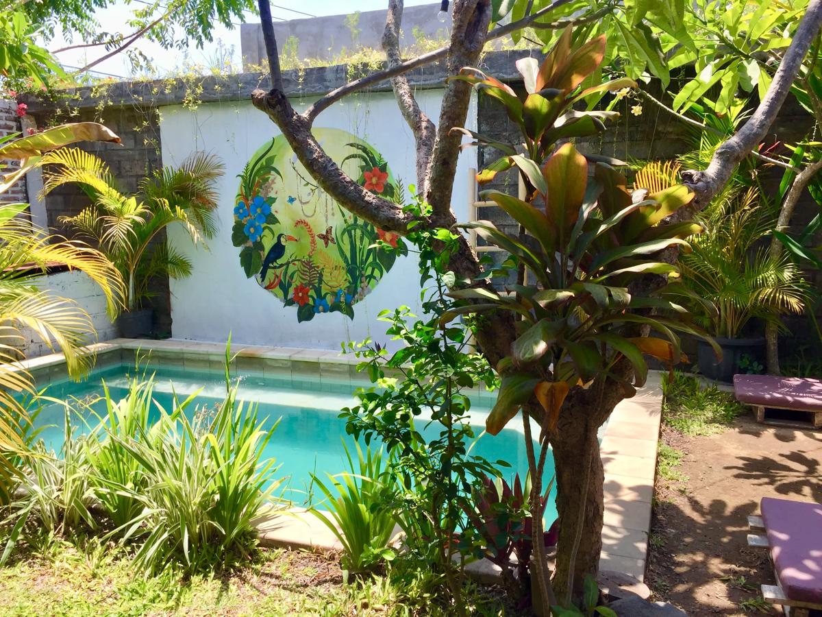 The Jungle House photo 3