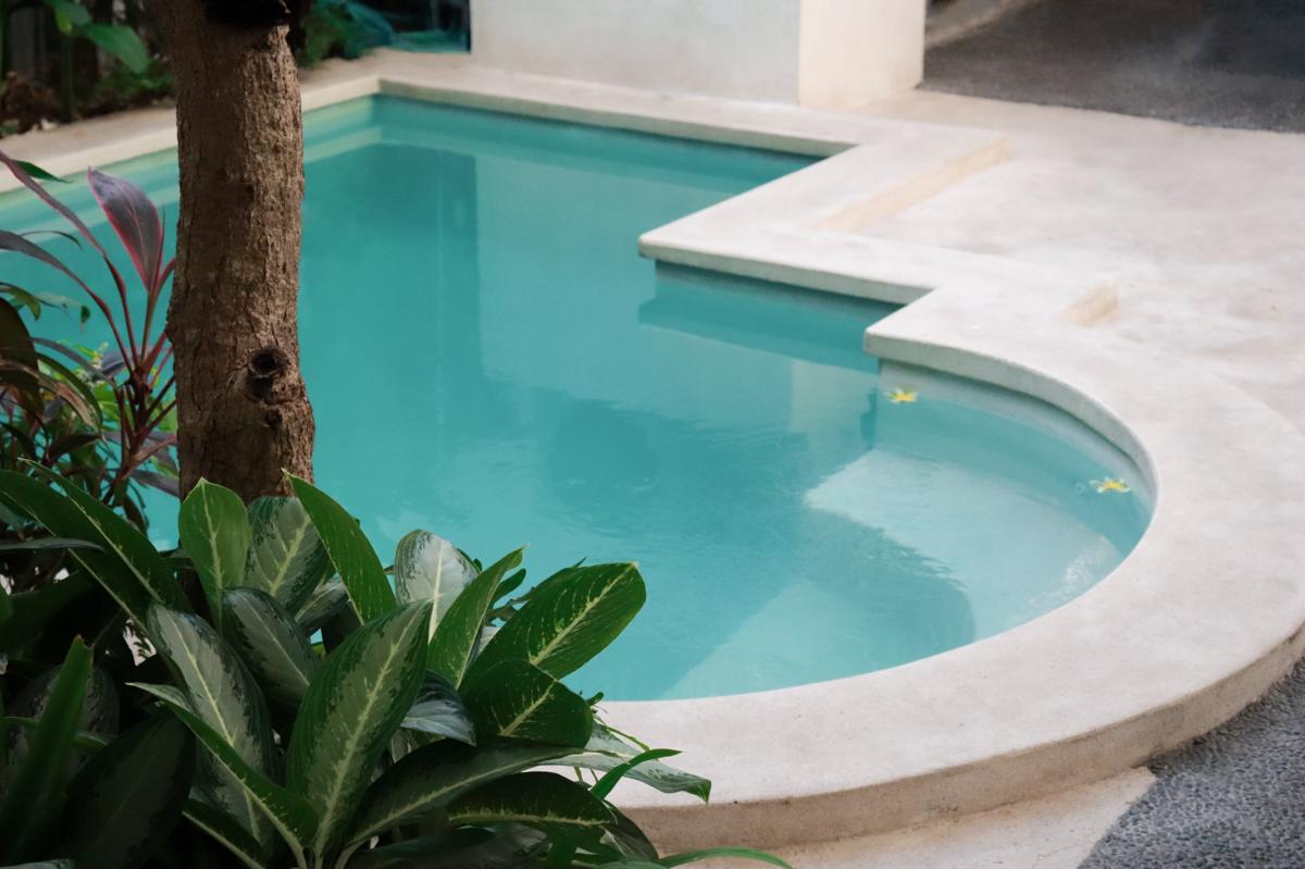Best Canggu Hostel photo 3