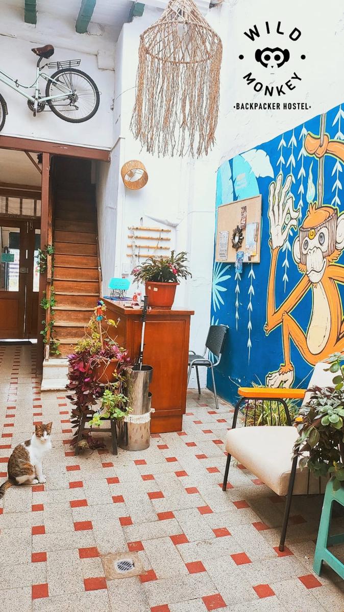 Wild Monkey Hostel photo 2