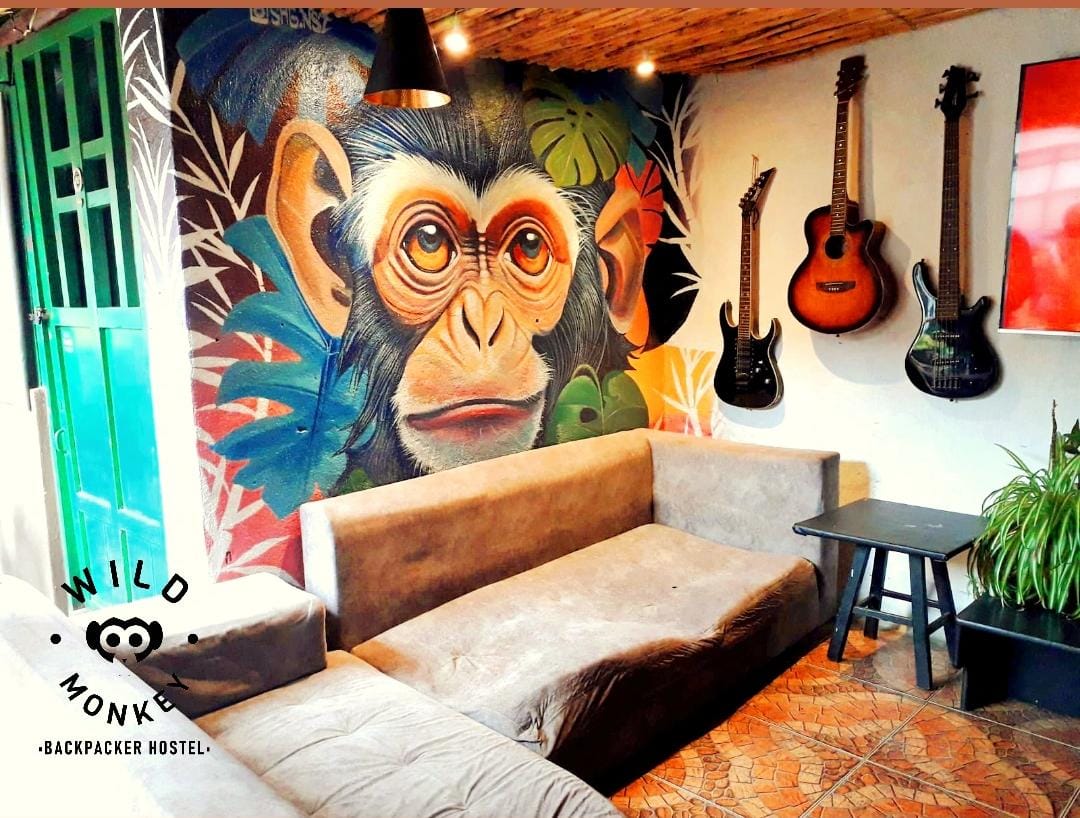 Wild Monkey Hostel photo 3