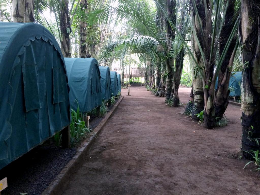 Tegal Dukuh Camp photo 3