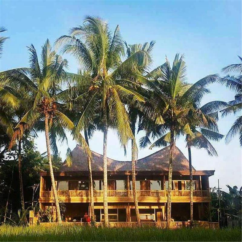 Luxury Bamboo Hostel photo 1