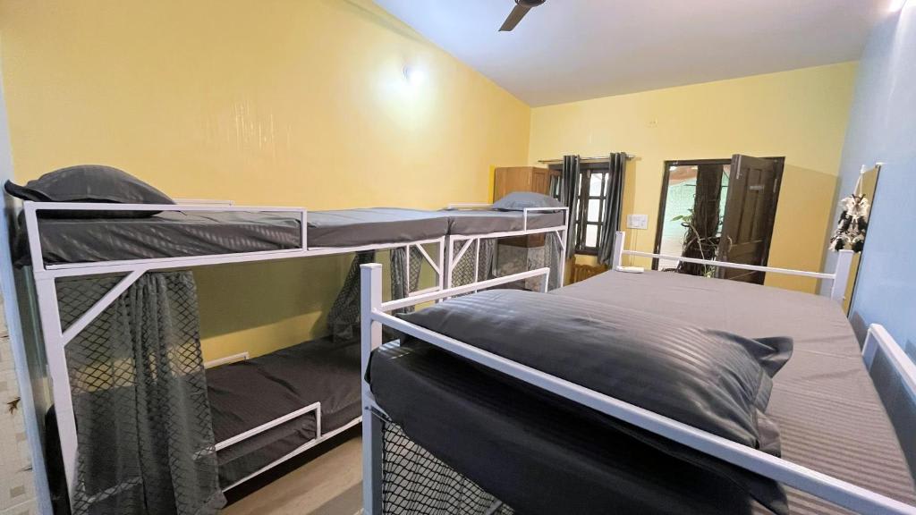 Mogambo Hostel and Stays photo 2