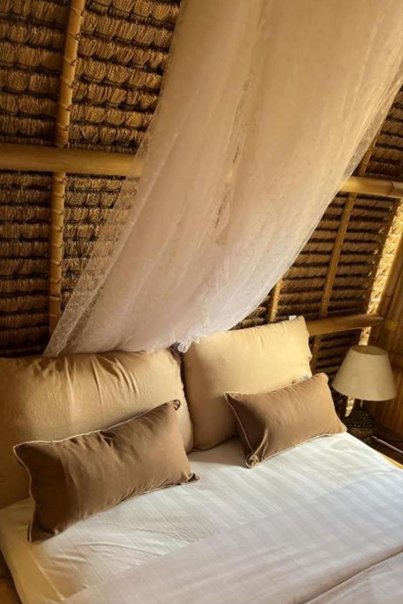 Tiny ECO Bamboo Ubud photo 3