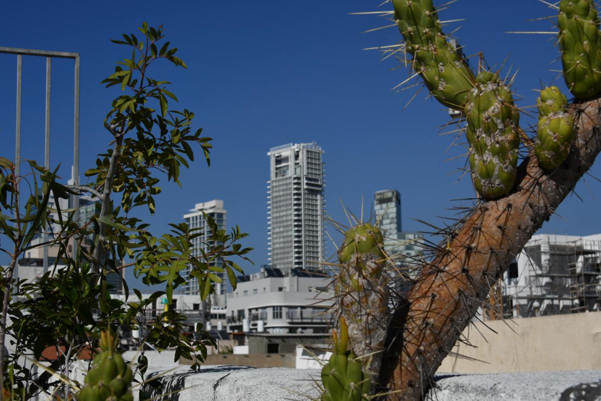 Ofek's Place - Midtowm photo 2