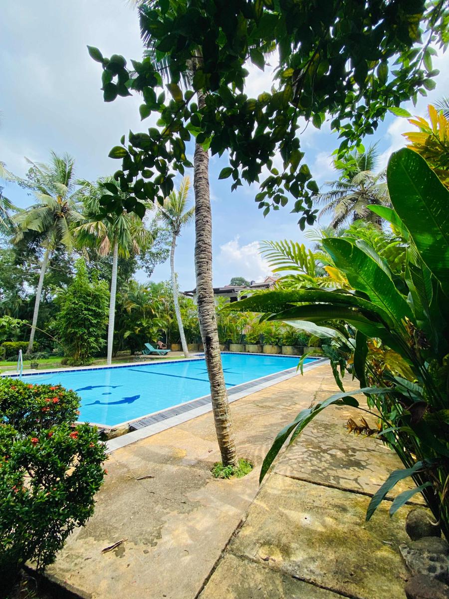 Leijay Resort photo 1