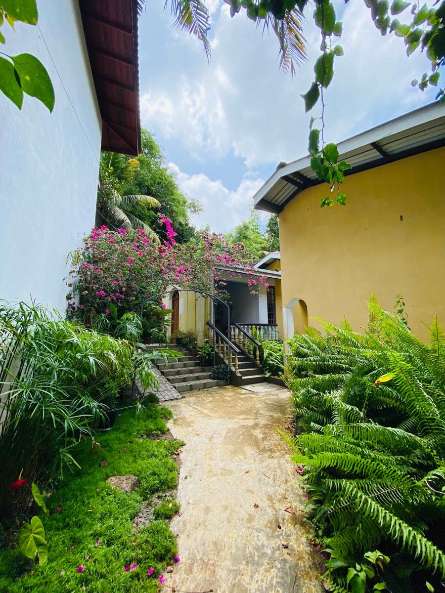 Leijay Resort photo 3