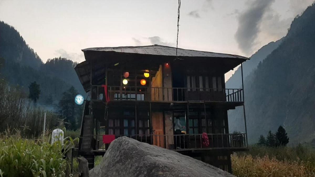 YOLO Backpackers - Pulga photo 1