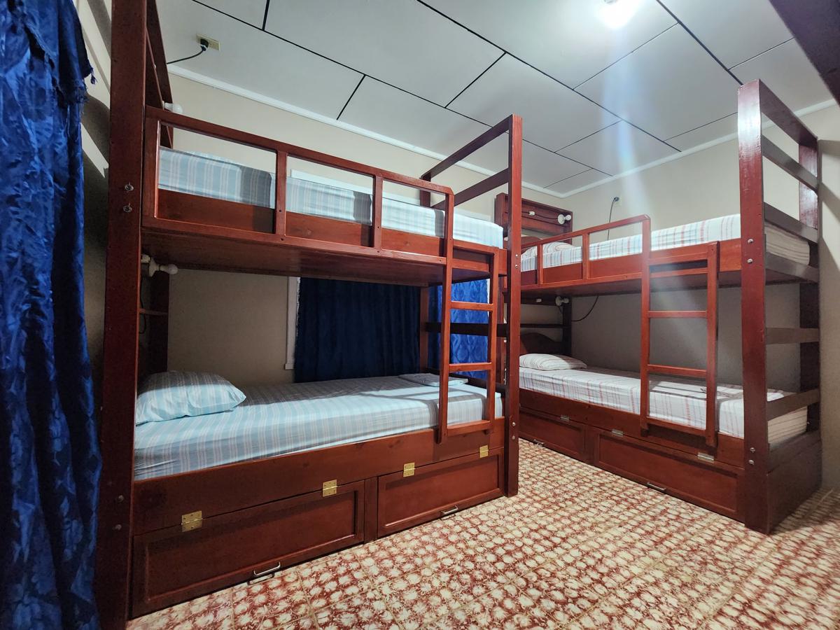 Fenix Hotel & Hostel photo 3