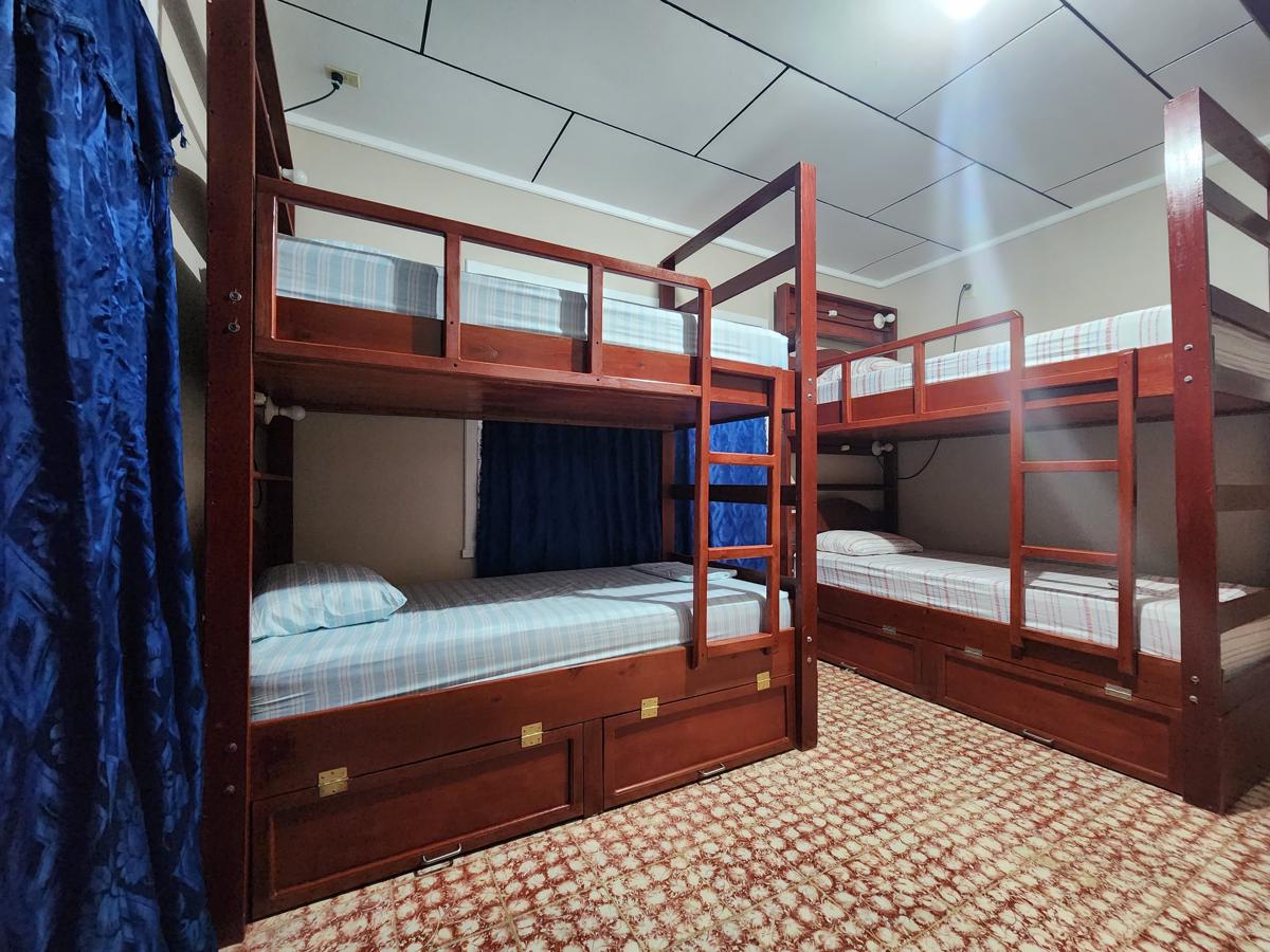 Fenix Hotel & Hostel photo 4