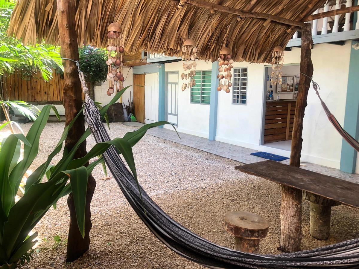 Bamboodas B & B photo 4