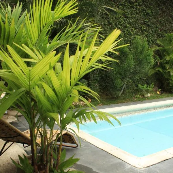 The View Hostel and Lounge photo 5