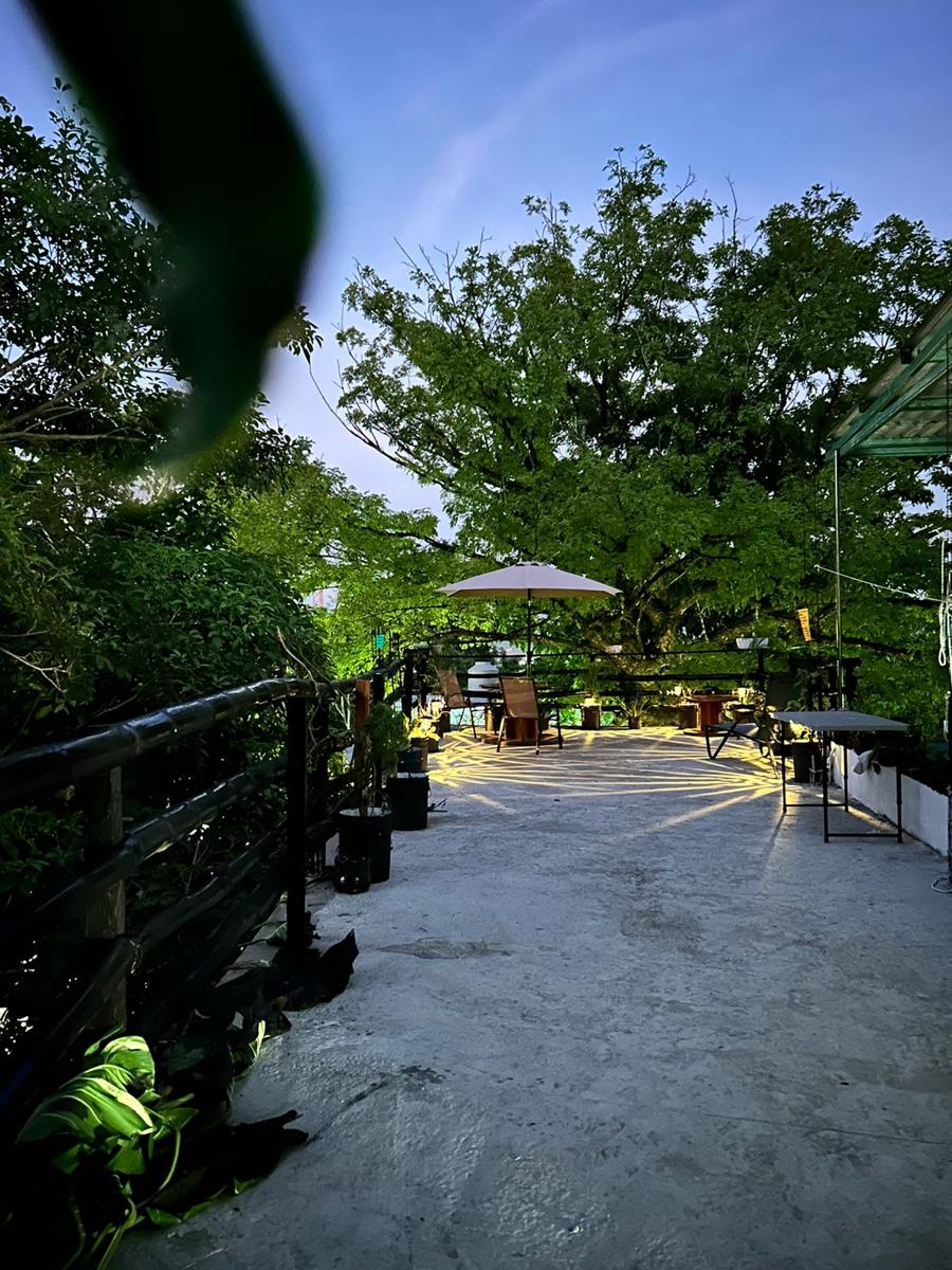 Hostal Pakal King photo 3