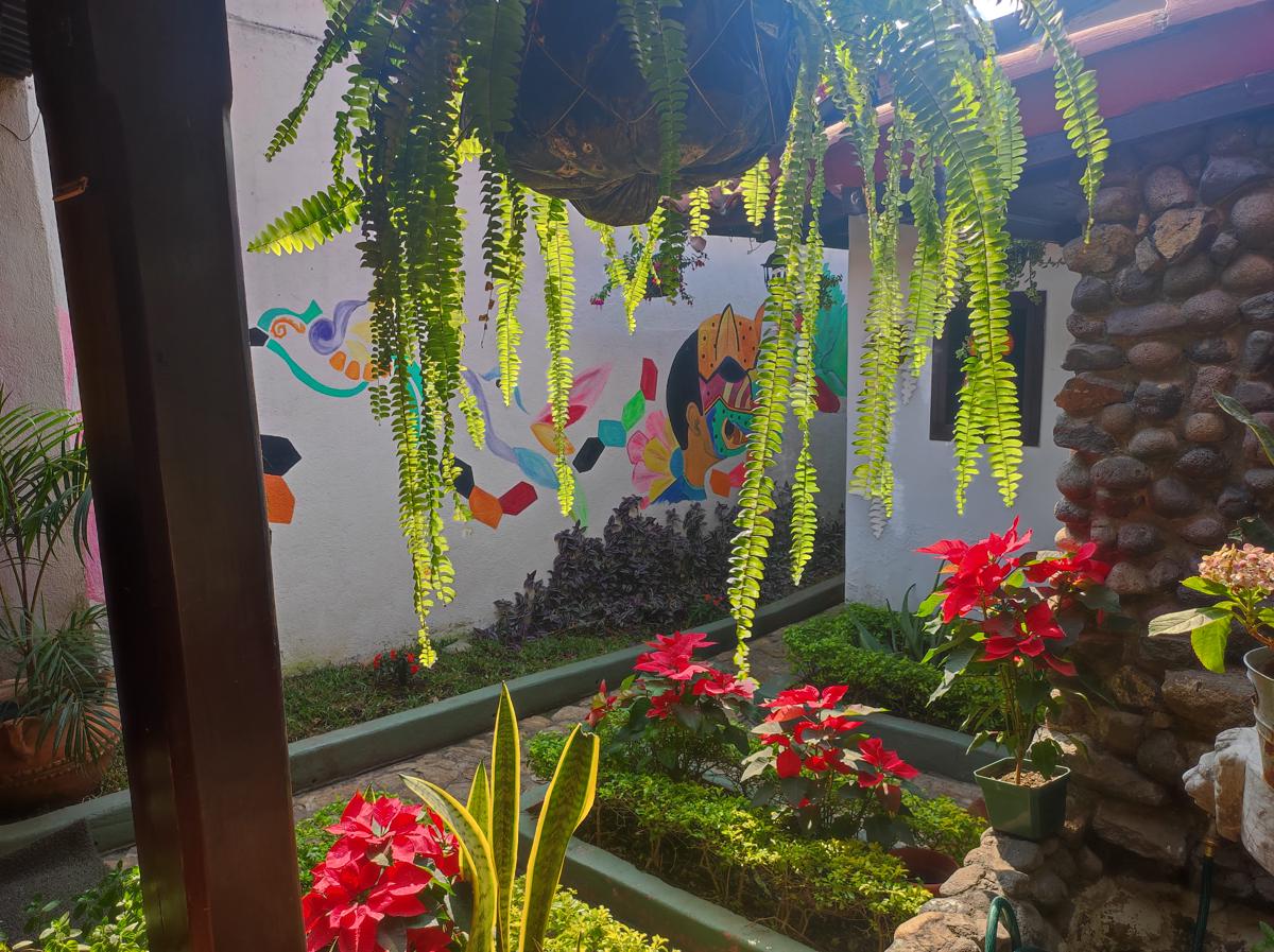 Hotel Casa Nikté photo 4