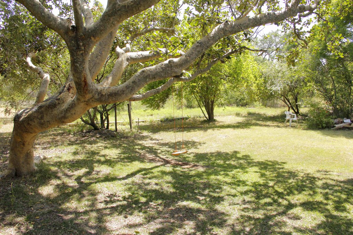 Burkes' Paradise photo 4