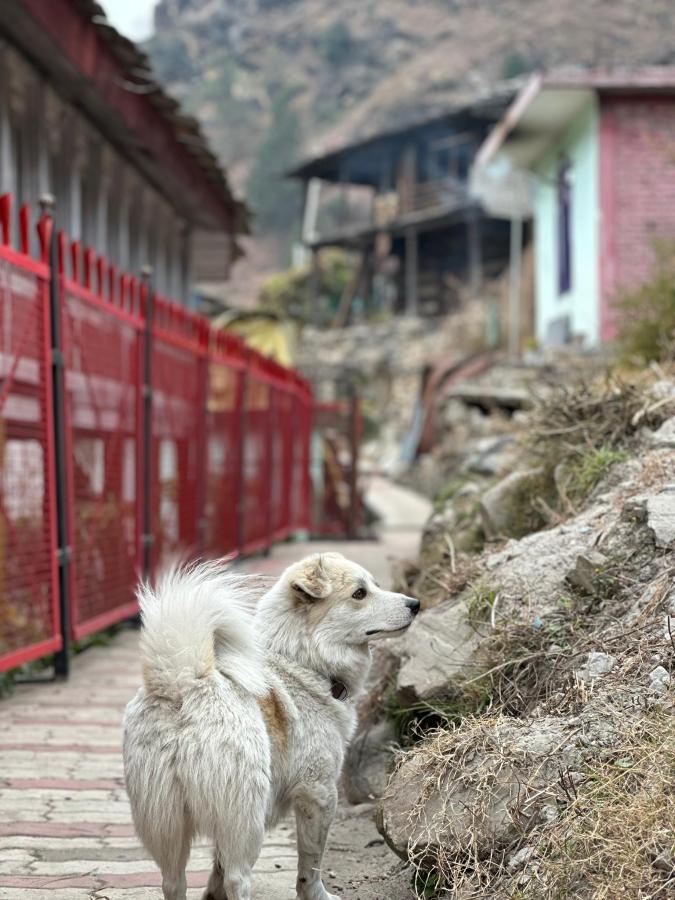 Grham Hostel & Cafe Kasol photo 6