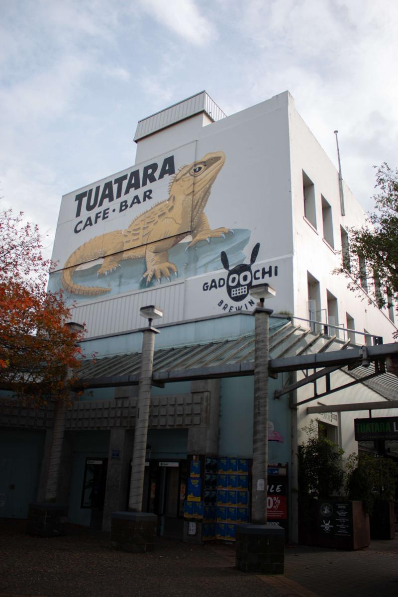 Tuatara Lodge photo 3