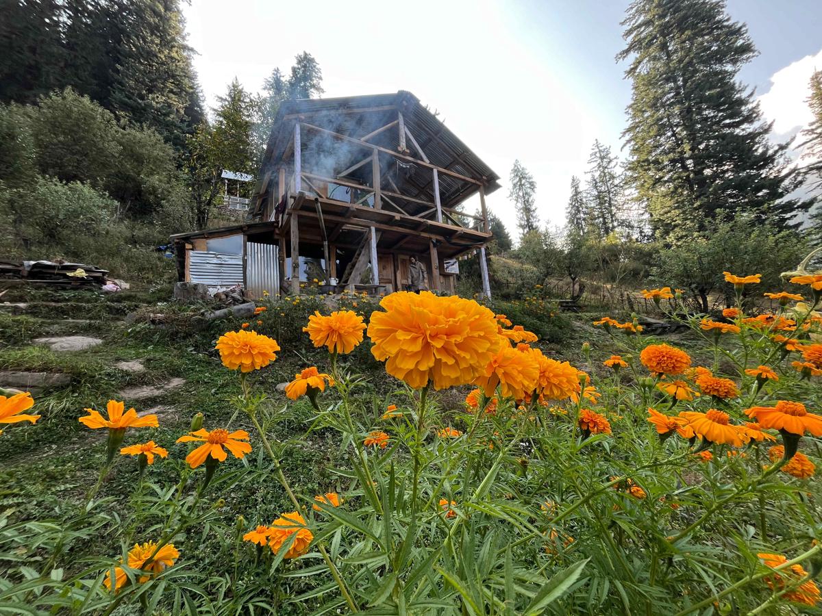 Dharma Chakra photo 2