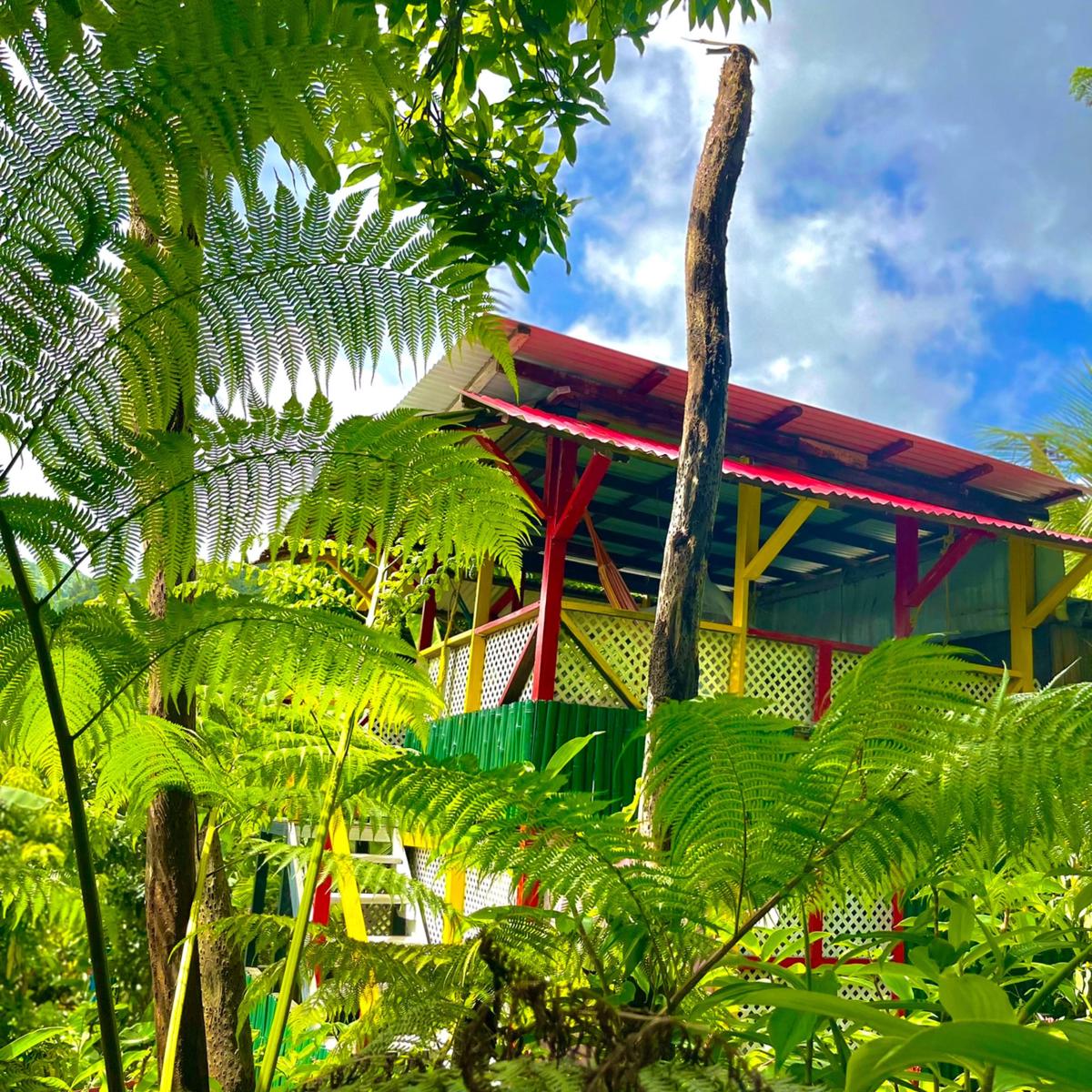 Le Petit Paradis photo 2