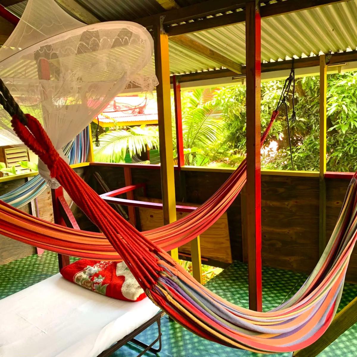 Le Petit Paradis photo 3