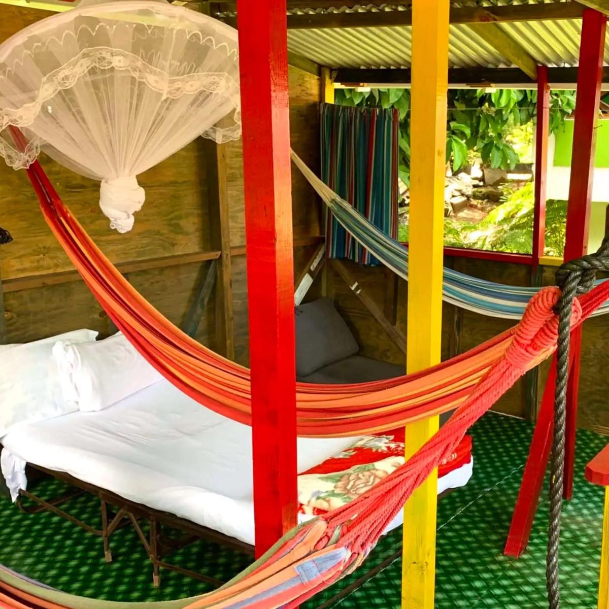 Le Petit Paradis photo 4
