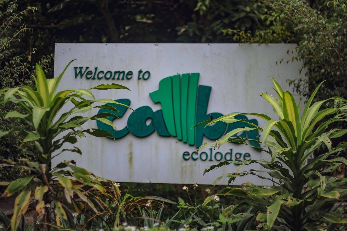 Ecolodge Cat Ba photo 1