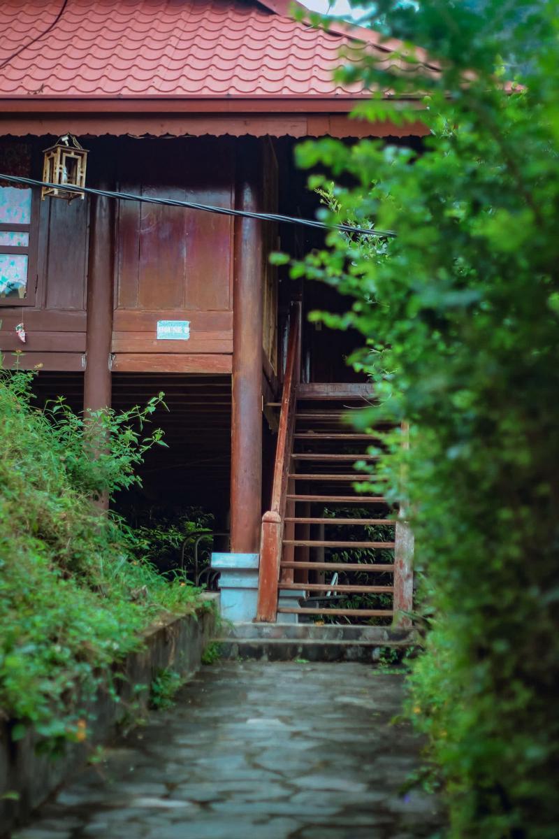 Ecolodge Cat Ba photo 4