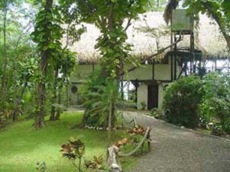 Tree Tops Bed & Breakfast photo 2