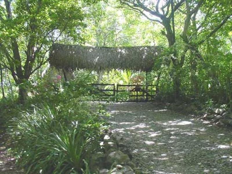 Tree Tops Bed & Breakfast photo 3