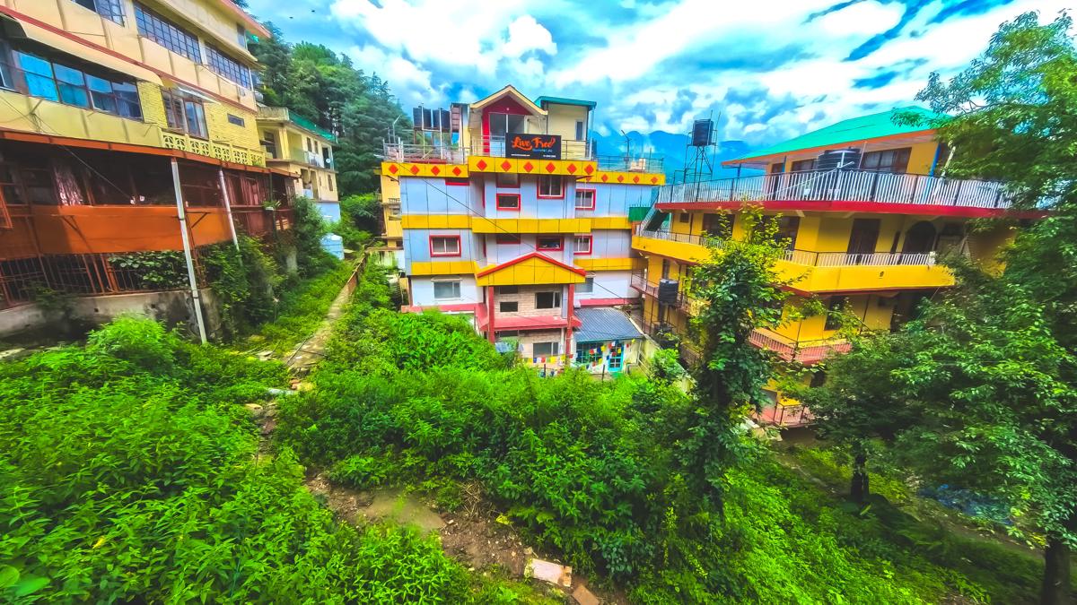 Live Free Hostel photo 1