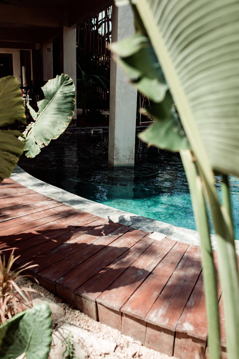 Botanica Tulum photo 2