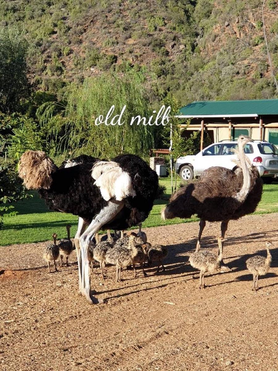 Old Mill Lodge & Restaurant photo 4