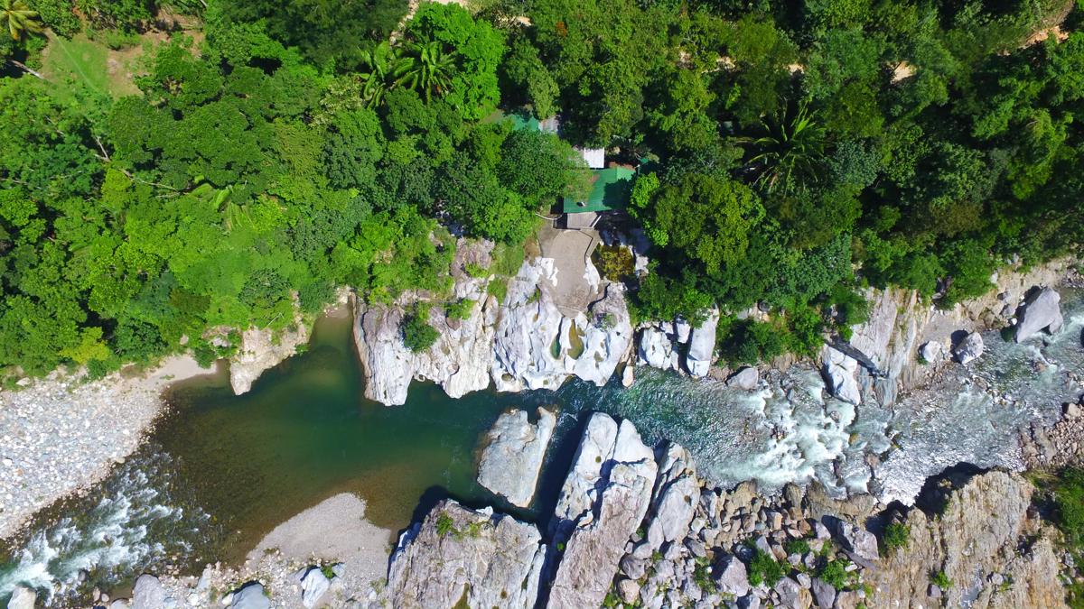 Jungle River Lodge photo 1