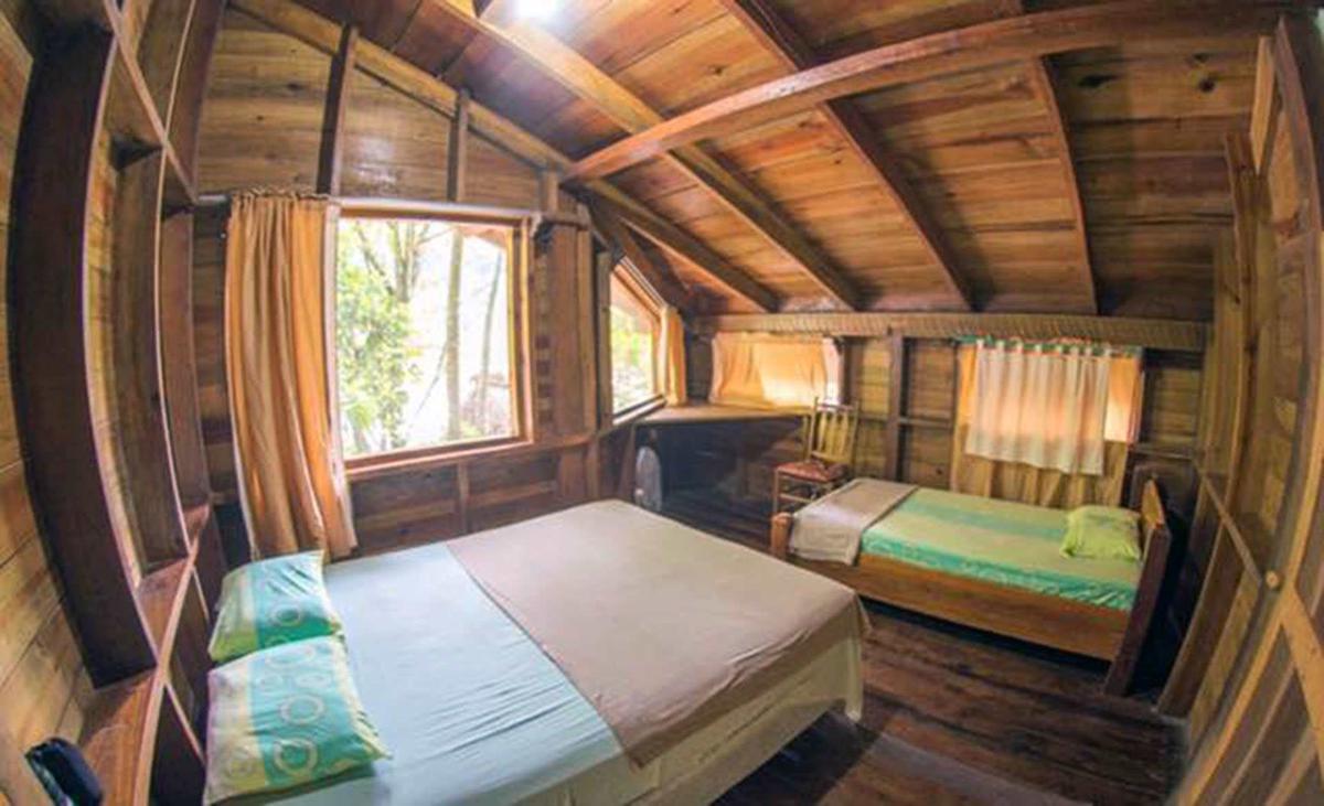 Jungle River Lodge photo 3