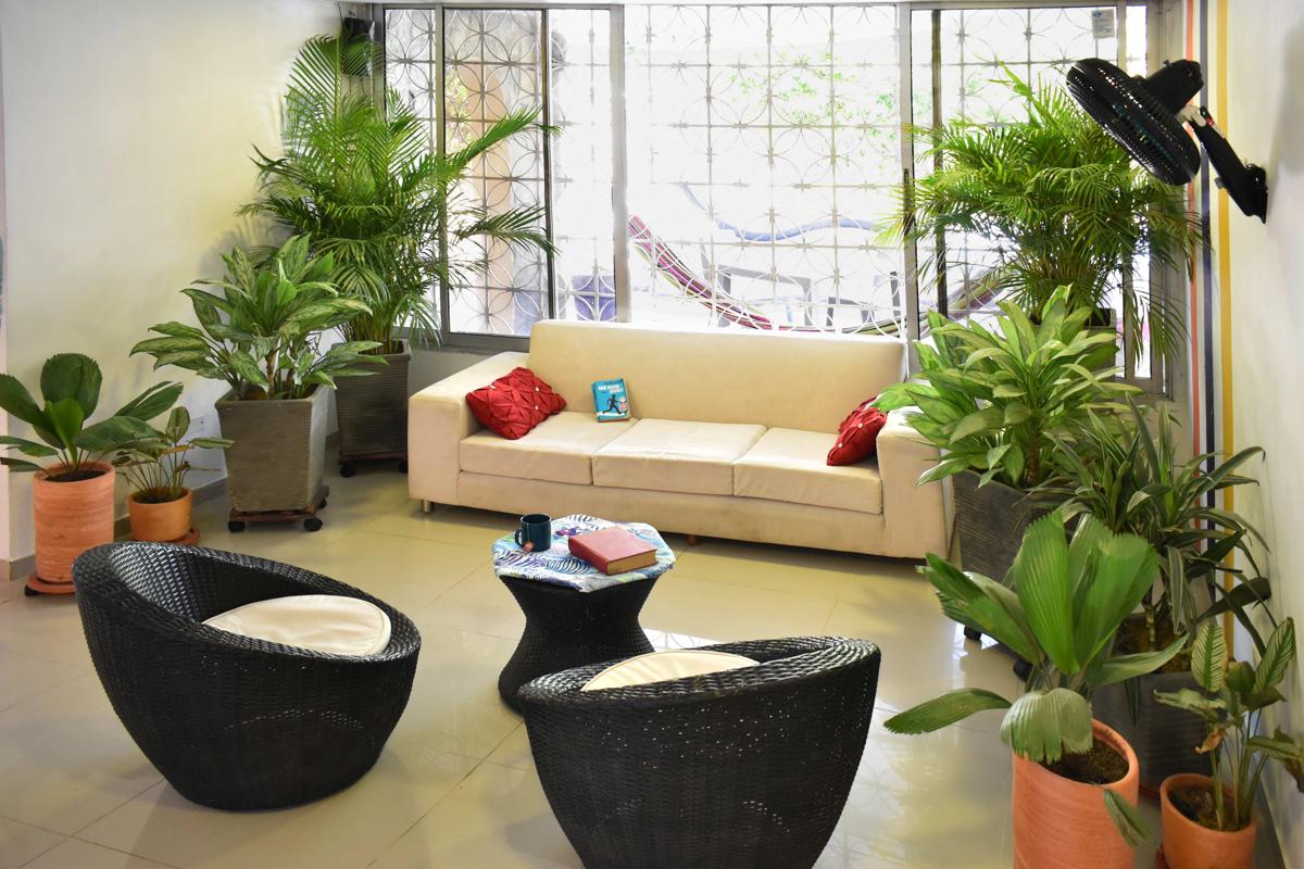 Color Hostel photo 3