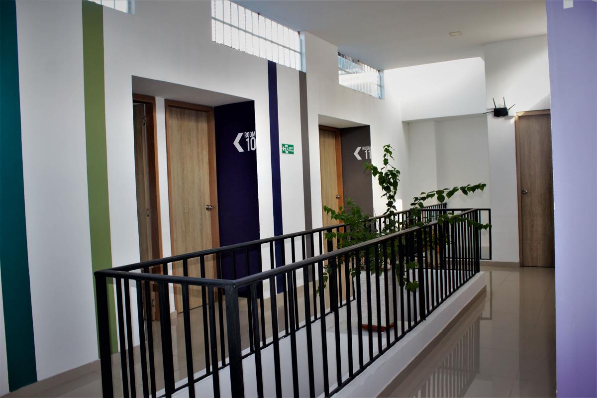 Color Hostel photo 4