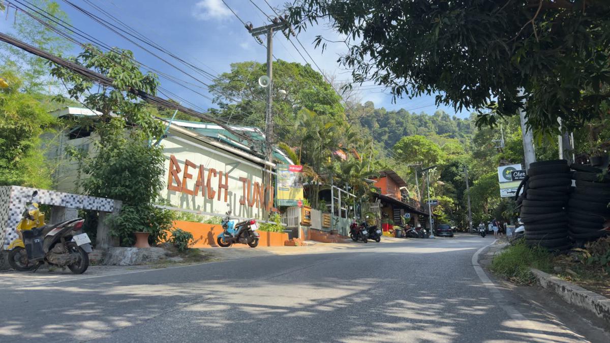 Beach Jungle Hostel photo 2