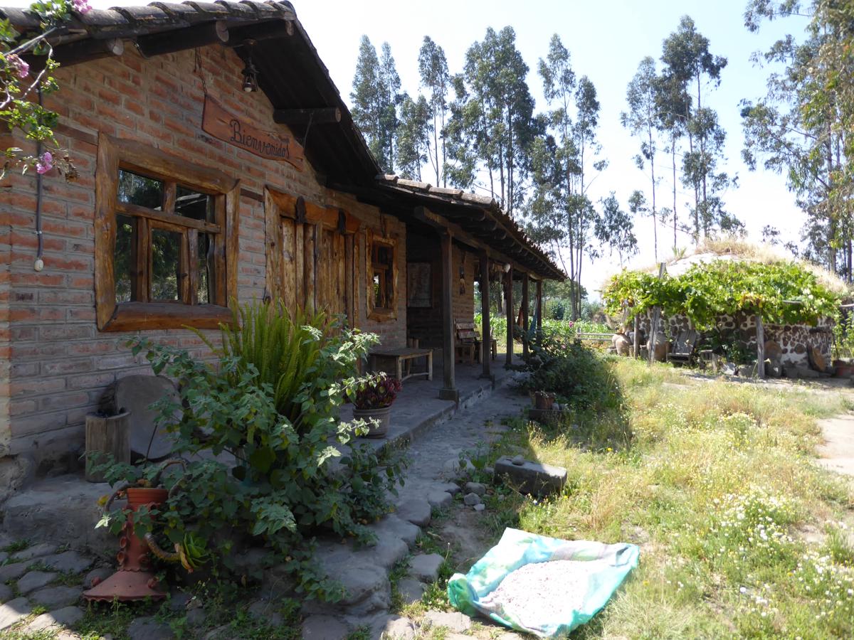 El Tio Hostal photo 2