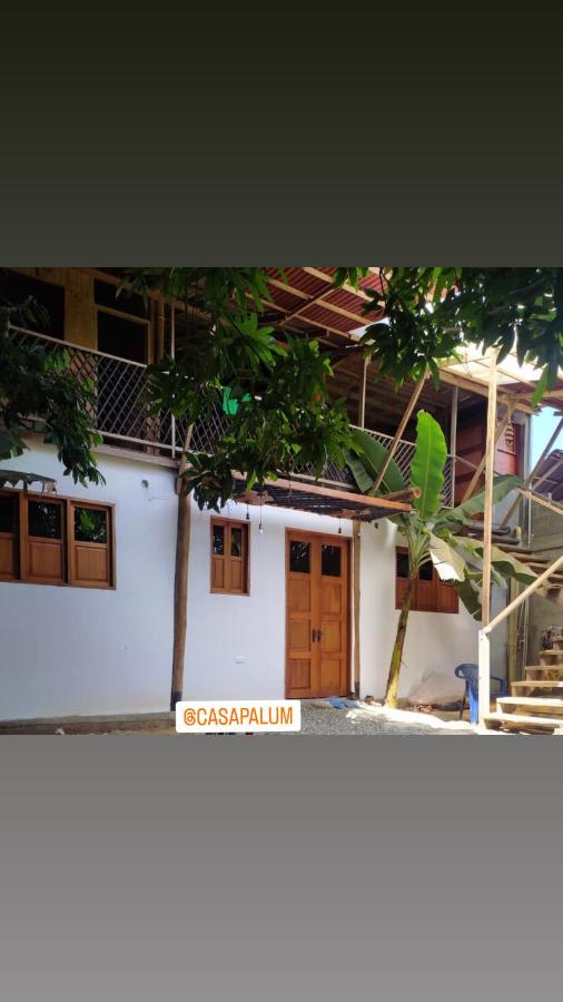 Casa Palum photo 3
