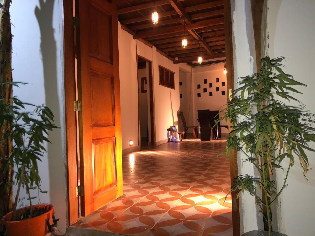 Casa Palum photo 6